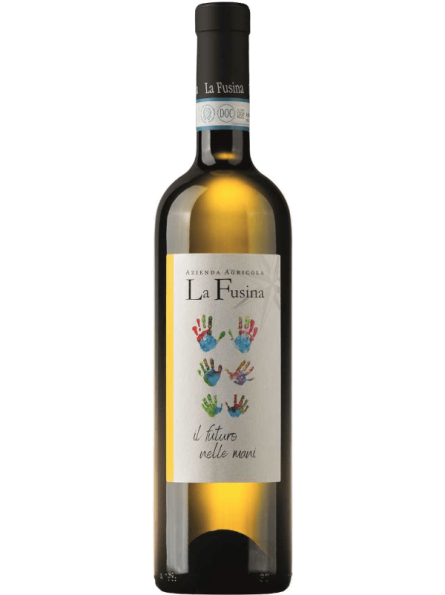 Sauvignon Blanc Langhe DOC 2023 | La Fusina