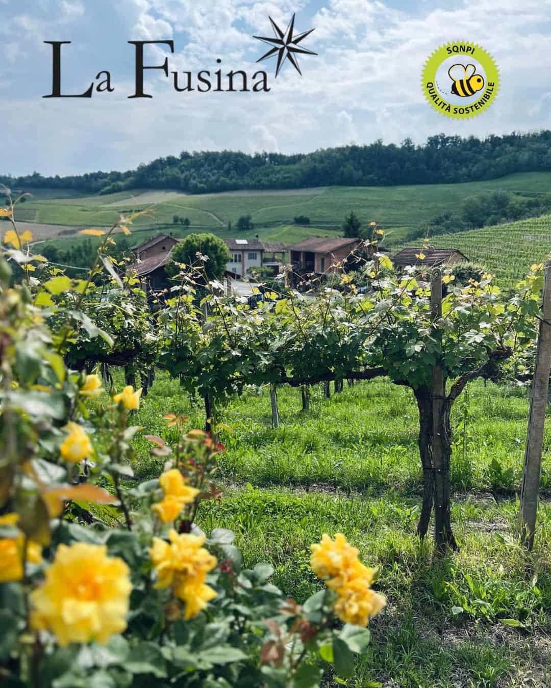 Az. Agr. La Fusina